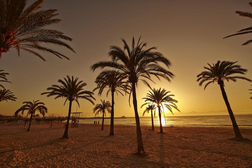 Hotel Sahara Nubia Gobi à Ses Cadenes Extérieur photo Palm trees on the beach at sunset